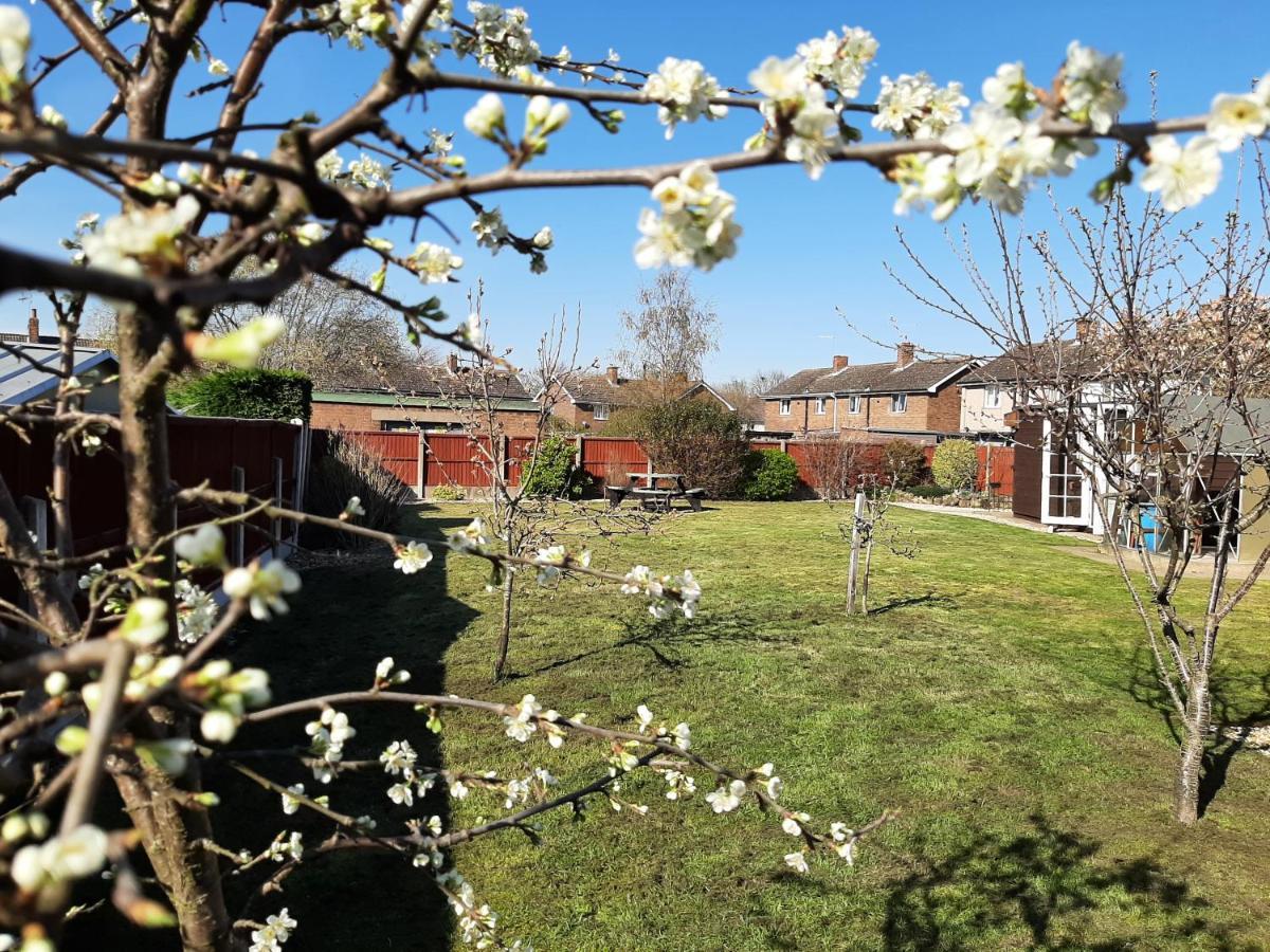 Maria's Garden House For Contractors And Families * Ollerton